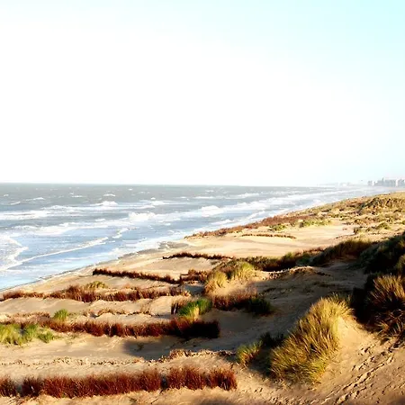 Eureka&bloemenduin 2*