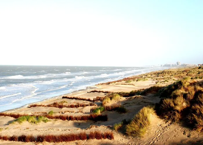 Eureka & Bloemenduin 2*