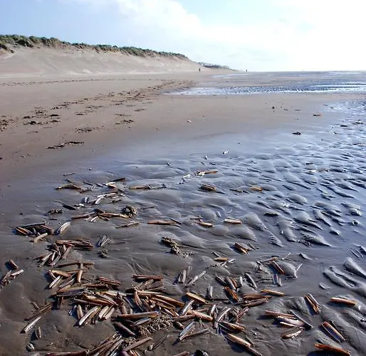 Camping Eureka & Bloemenduin